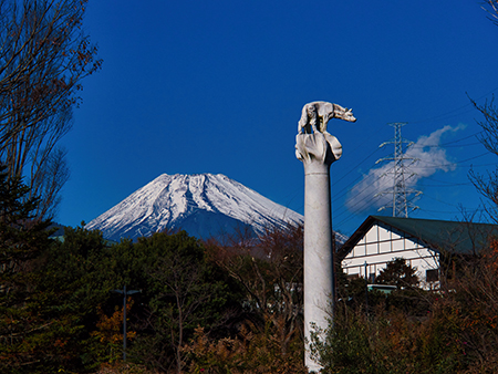 入選「よく見るといいね」西島義昭さん