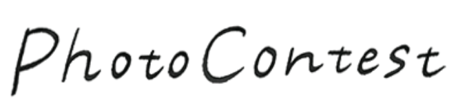 ／写真コンテスト