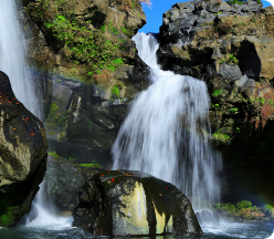 オーダーメイド