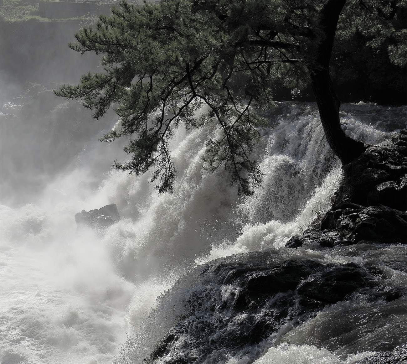 写真コンテスト