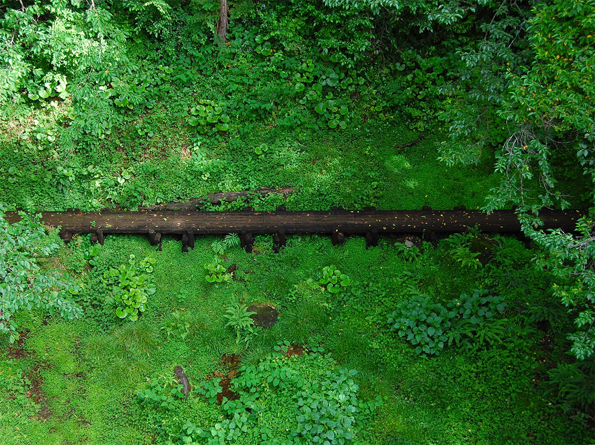 写真コンテスト