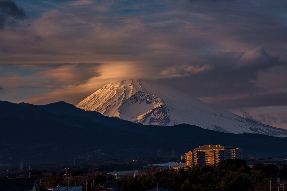 写真コンテスト