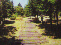 長泉町森林公園