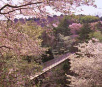 駿河平自然公園