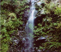 つるべ落としの滝